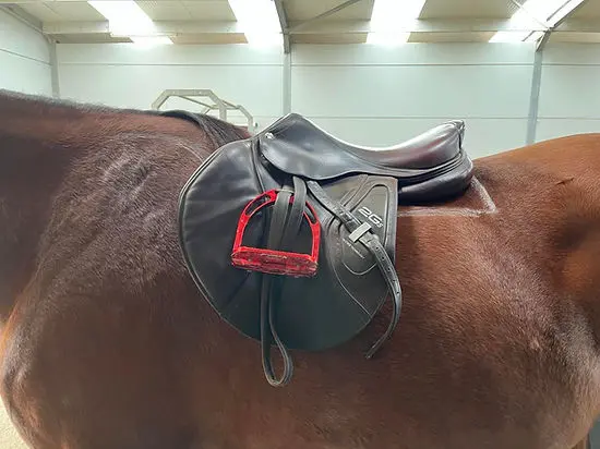 paardenosteopaat
