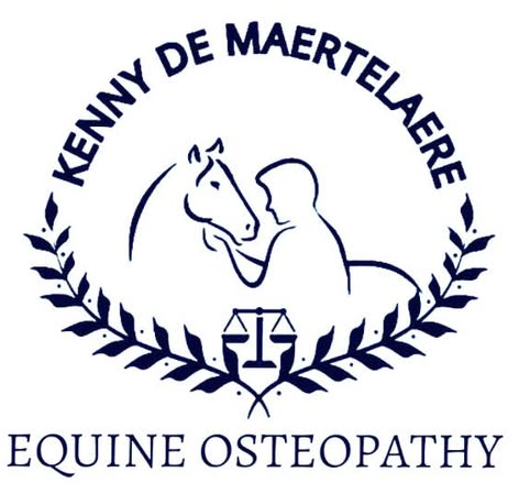 Kenny de Maertelaere